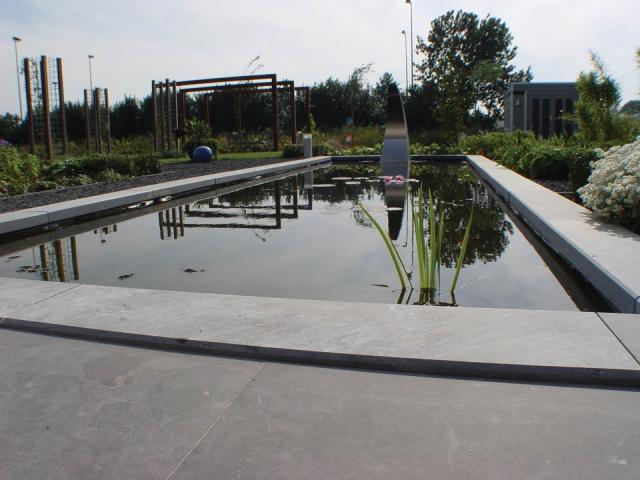 Excluton Siam Bluestone Vijverrand 100x25x3cm verzoet