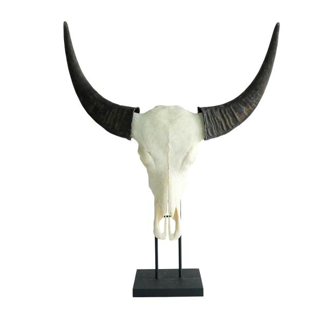 Skull op sokkel Waterbuffel