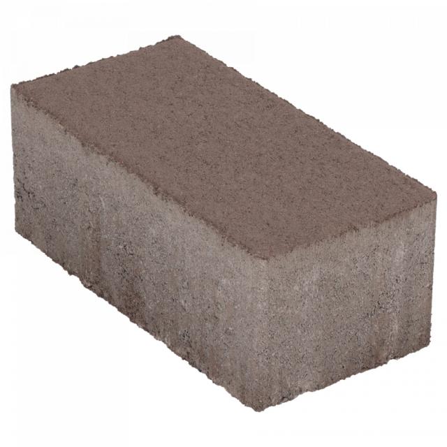 Excluton BSS Exclukera 10.5x21x8cm Bruin