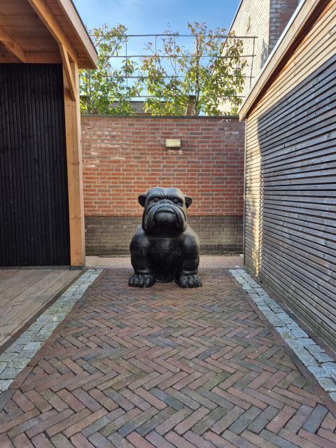 Bulldog 100cm