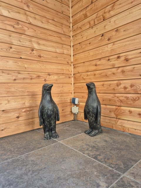 Pinguin 50cm