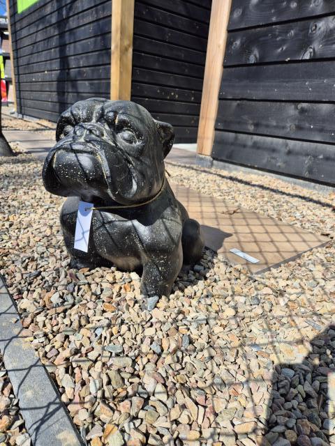 Bulldog 40cm