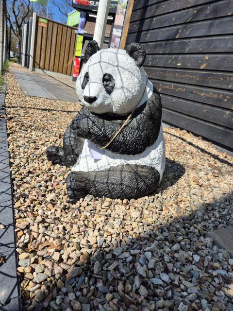 Panda 52cm